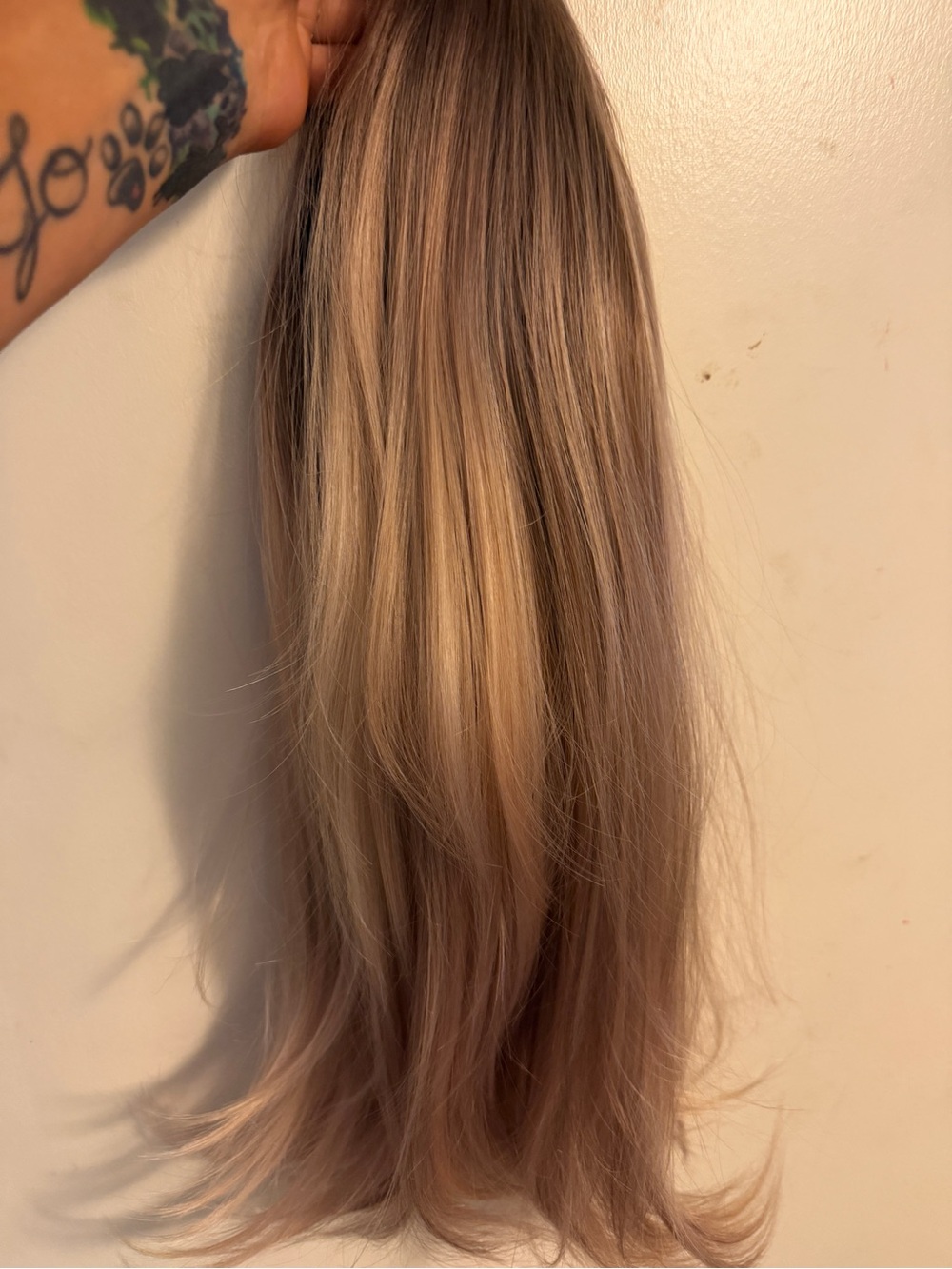 Blonde to Light Brown Ombre 20 inch Wig BNWT